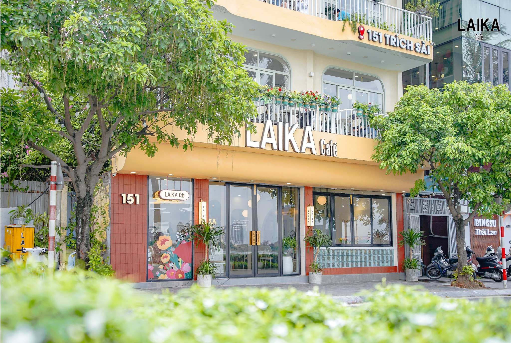 Laika Kim Ngưu: Khám Phá Bí Ẩn Về Cung Hoàng Đạo Từ Chó Vũ Trụ
